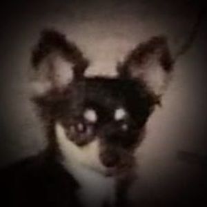 Meet your Posher, Debra